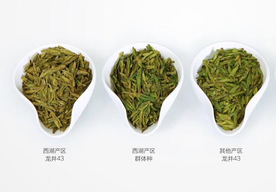 龙牌西湖龙井